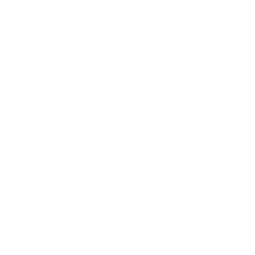 Icon FAQ