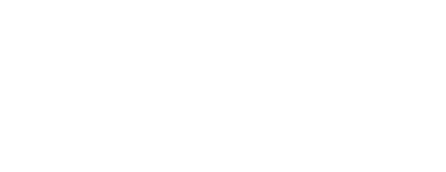 logo hardis tech services blanc